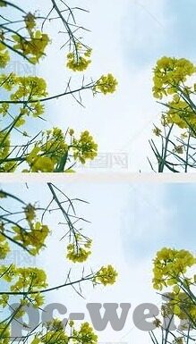足球比分 波胆-足球比分与波胆，绿茵场上的数字密码与心跳博弈